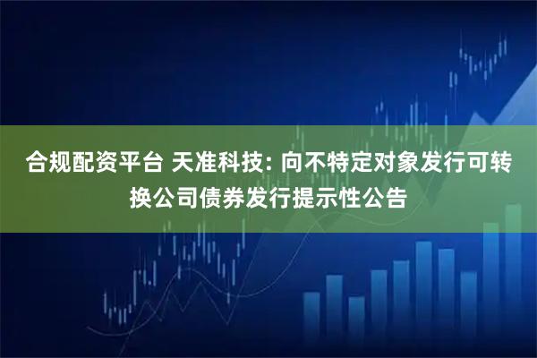 合规配资平台 天准科技: 向不特定对象发行可转换公司债券发行提示性公告